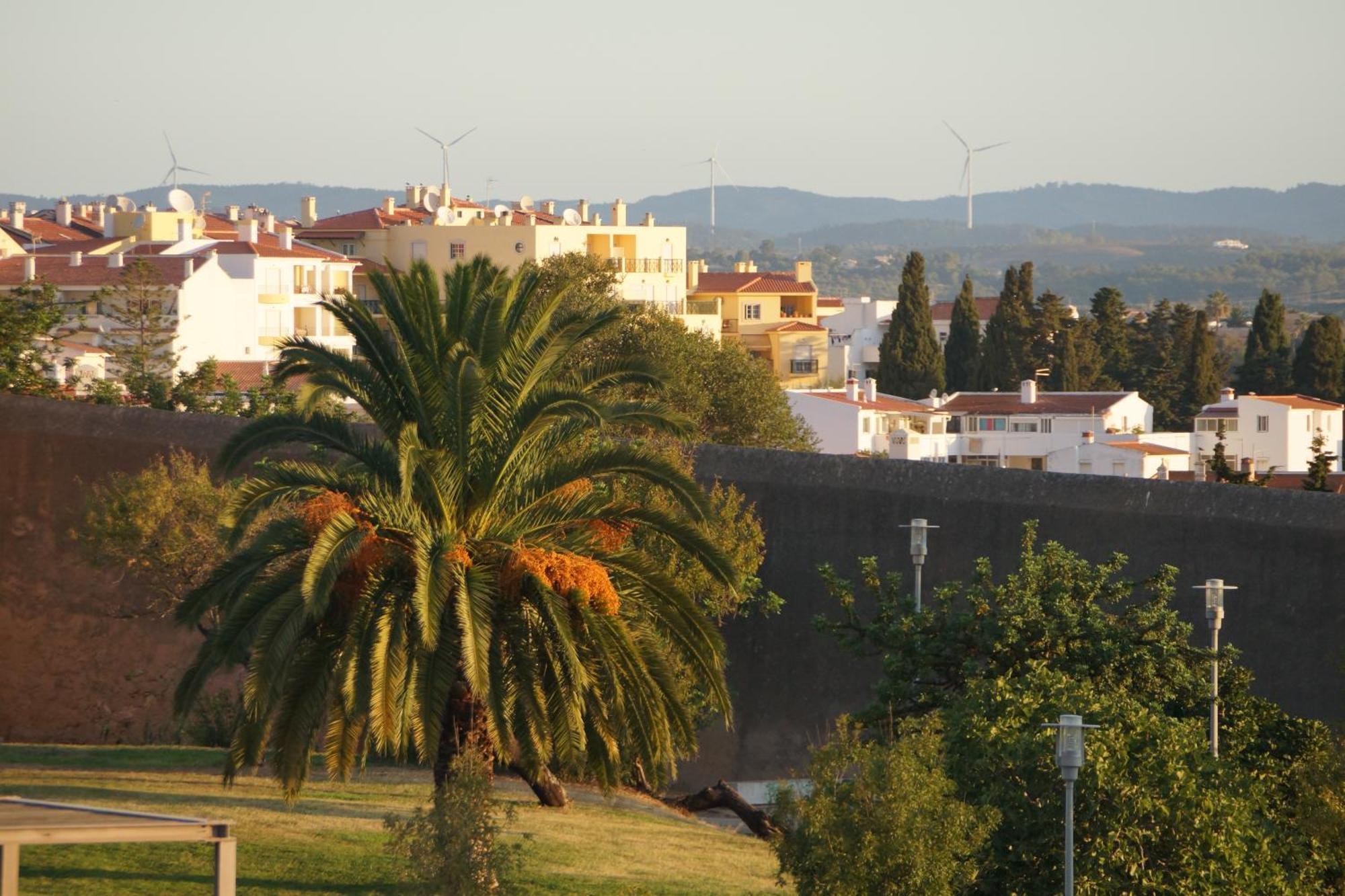 Apartment Casa Nine Pres Des Plages